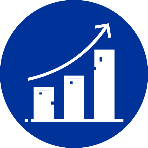 Revenue Monitoring